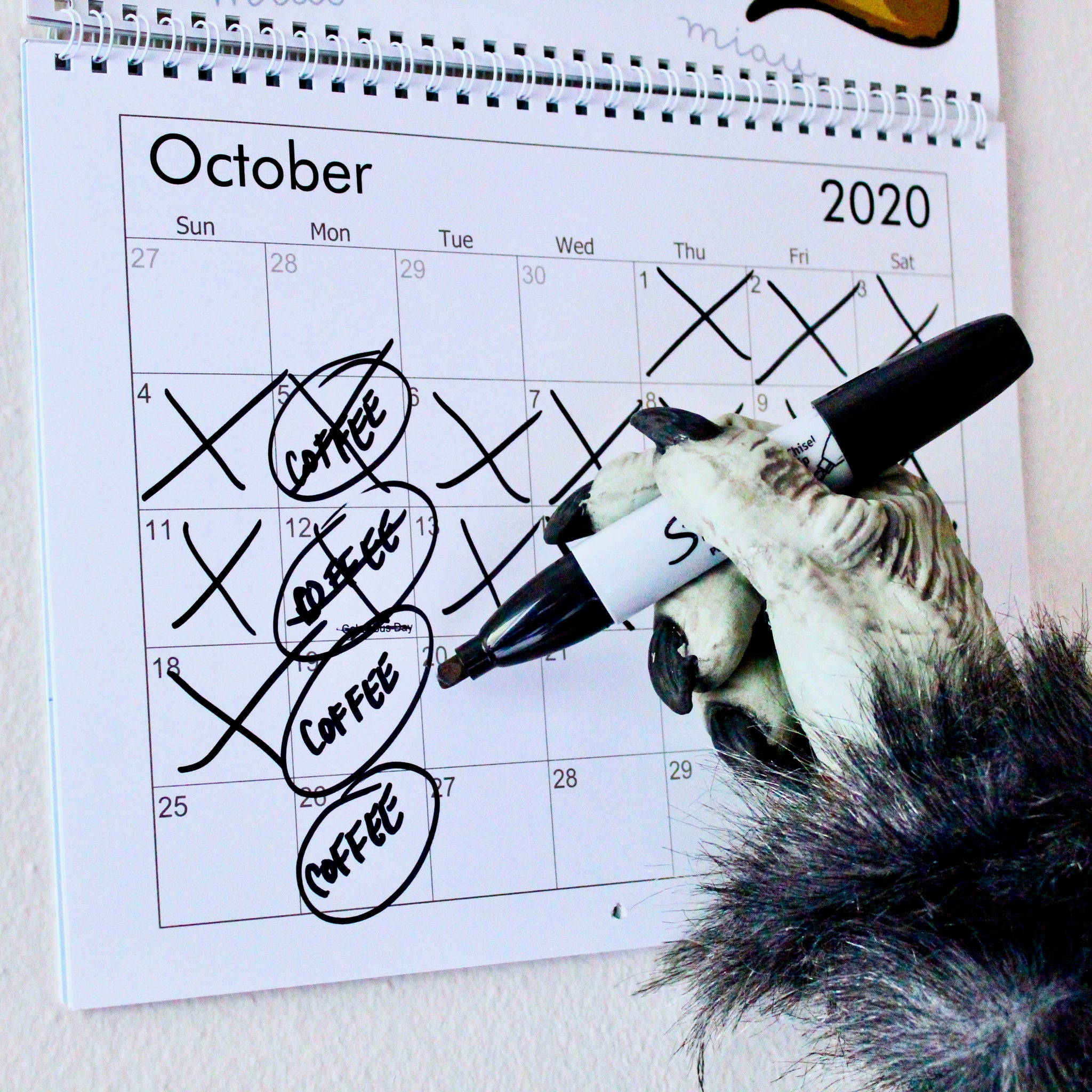 Calendar with days crossed off counting down to the next coffee delivery date.